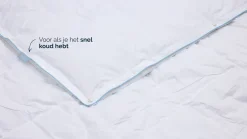 Best B Bright 4 seizoenen dekbed 60% dons