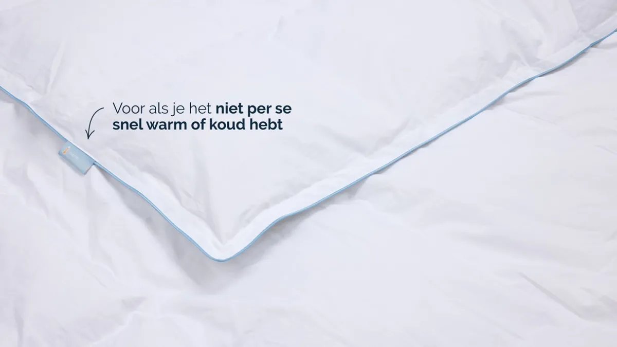 Discount B Bright voor-/ najaar dekbed 60% dons