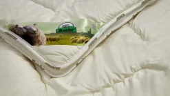 Discount Texeler Bovenste Beste 4-seizoenen dekbed wol